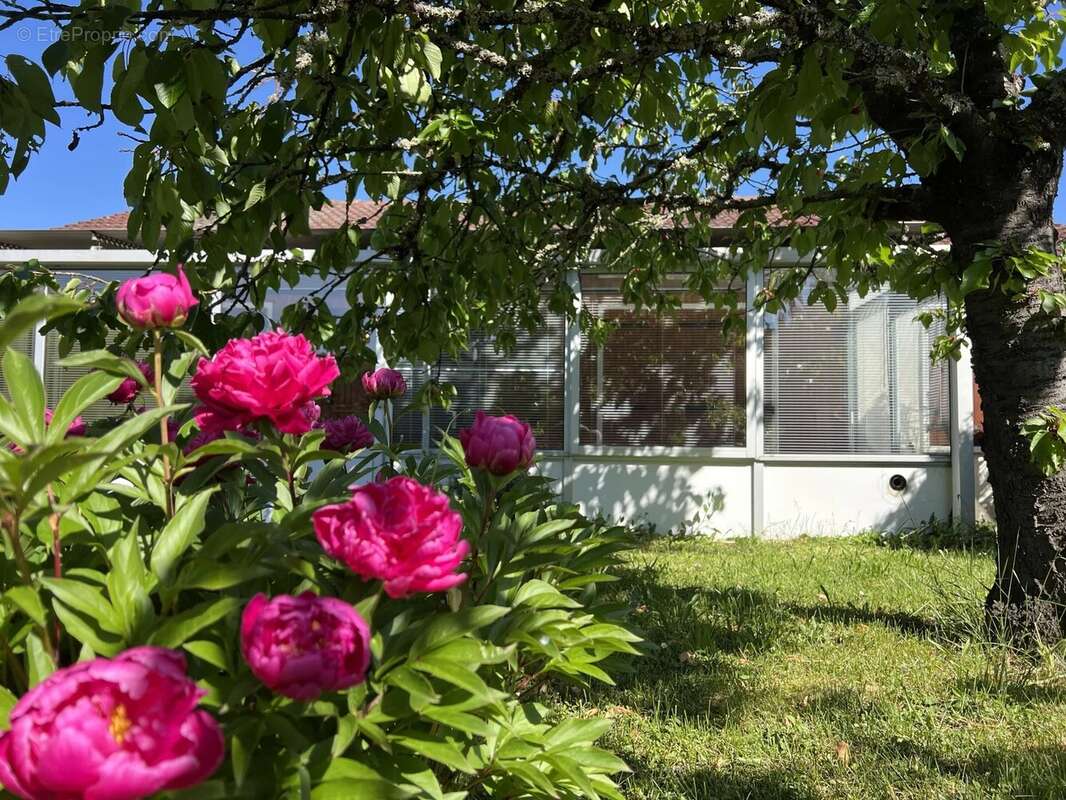 Maison à SAINT-GEORGES-SUR-BAULCHE