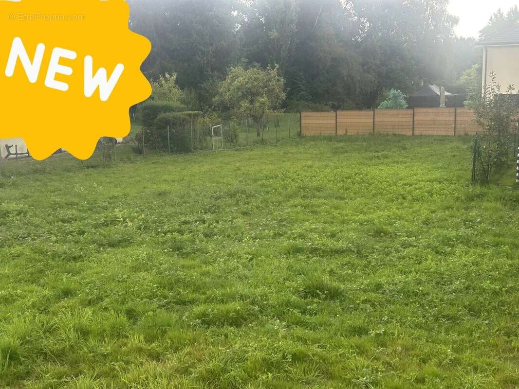 Terrain à CUNELIERES