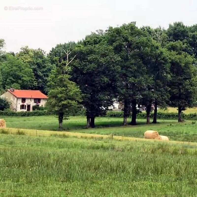 Maison à BUSSIERE-POITEVINE