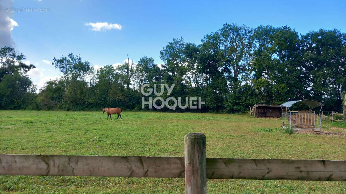 Maison à ISIGNY-SUR-MER