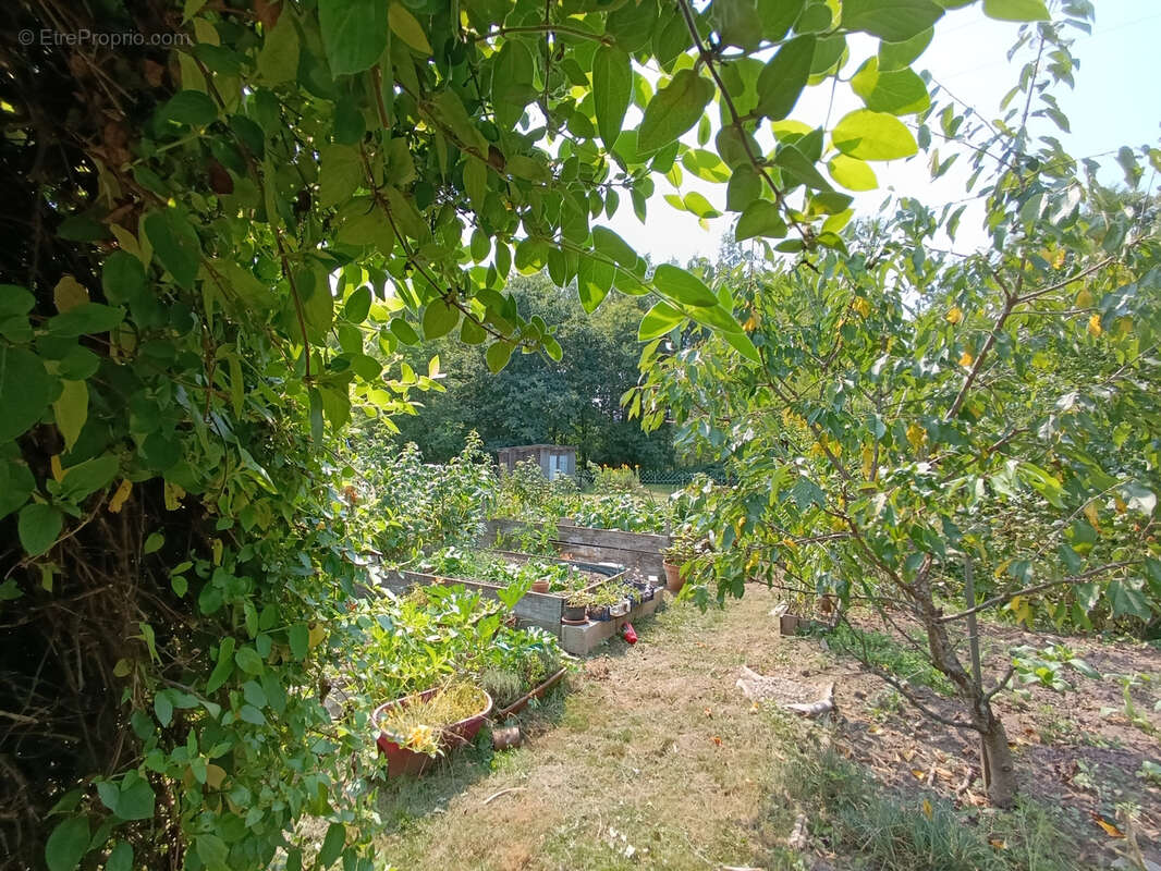 Maison à RAON-L&#039;ETAPE