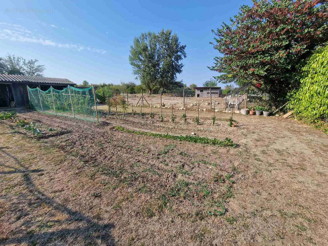 Maison à SAINT-CHRISTOLY-DE-BLAYE