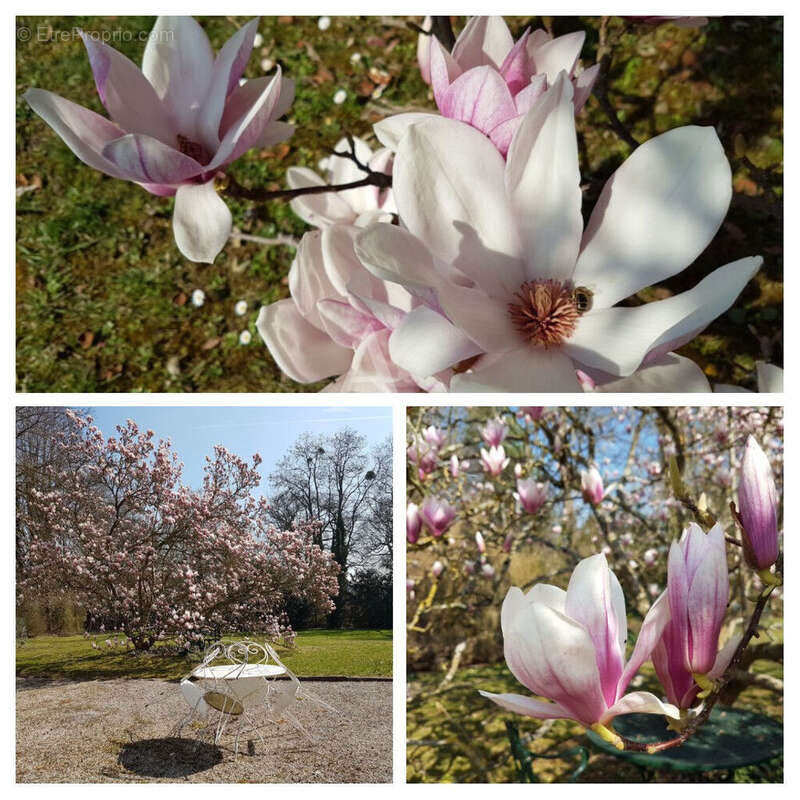 Appartement à DOURDAN