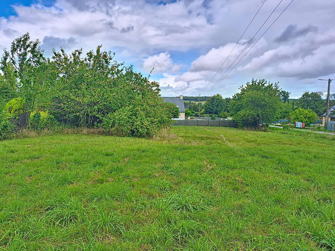 Terrain à NEANT-SUR-YVEL