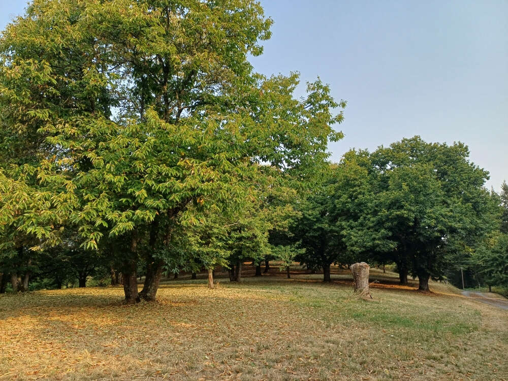 Maison à SAINT-PERDOUX