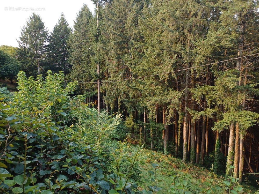 Maison à SAINT-PERDOUX