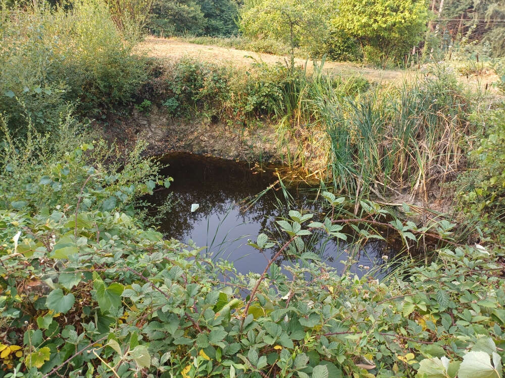 Maison à SAINT-PERDOUX