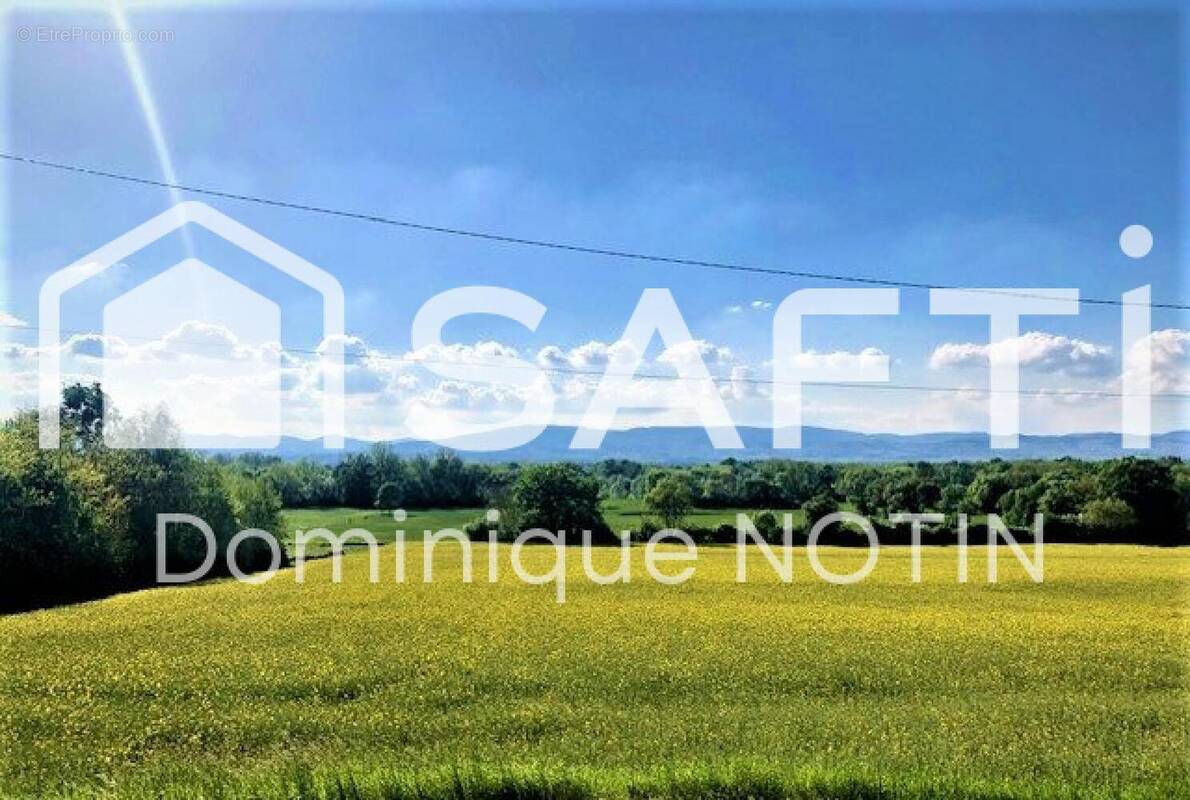 Photo 1 - Autre à MONTMERLE-SUR-SAONE