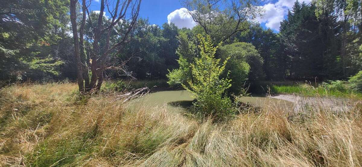 Photo 2 - Terrain à PLEUMARTIN