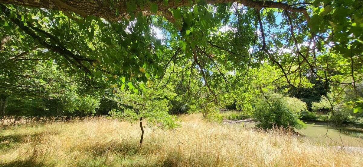 Photo 4 - Terrain à PLEUMARTIN