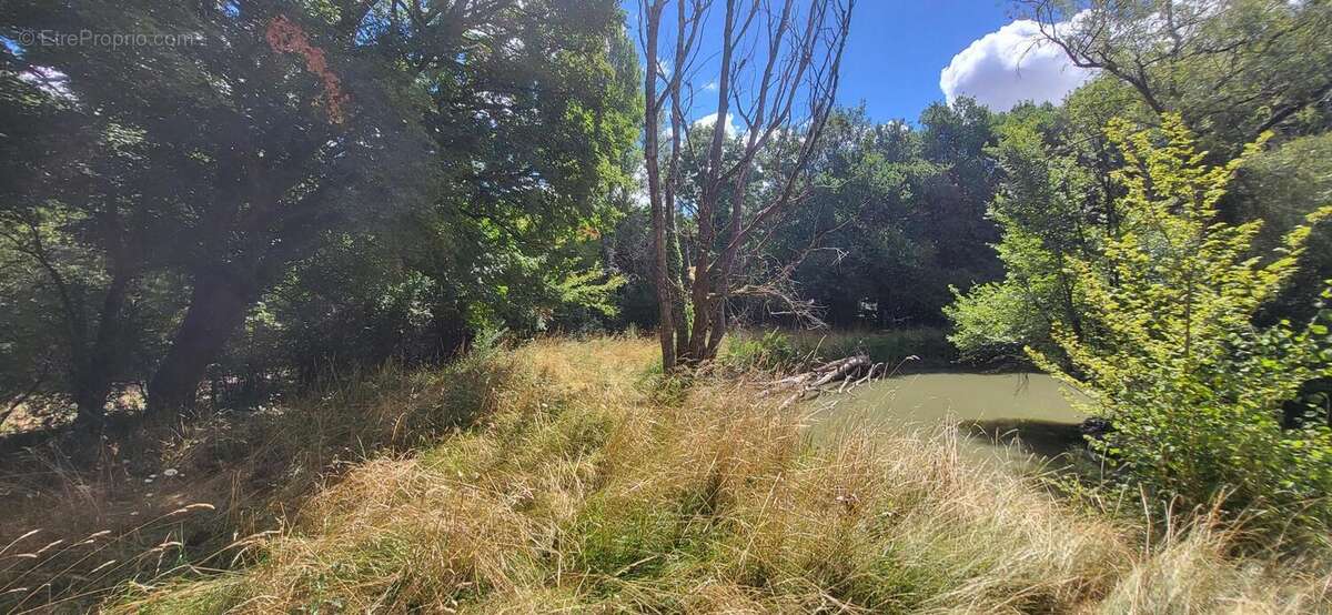 Photo 5 - Terrain à PLEUMARTIN