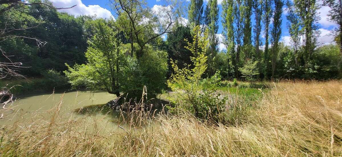 Photo 6 - Terrain à PLEUMARTIN