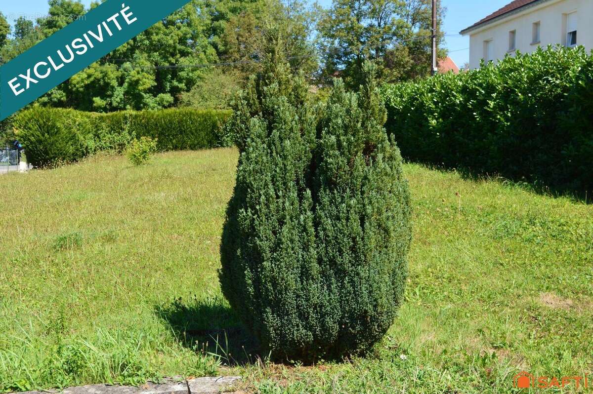 Photo 3 - Terrain à FRANOIS