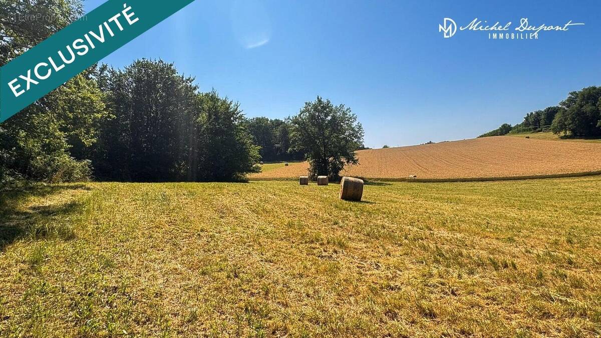 Photo 1 - Terrain à LIMEUIL