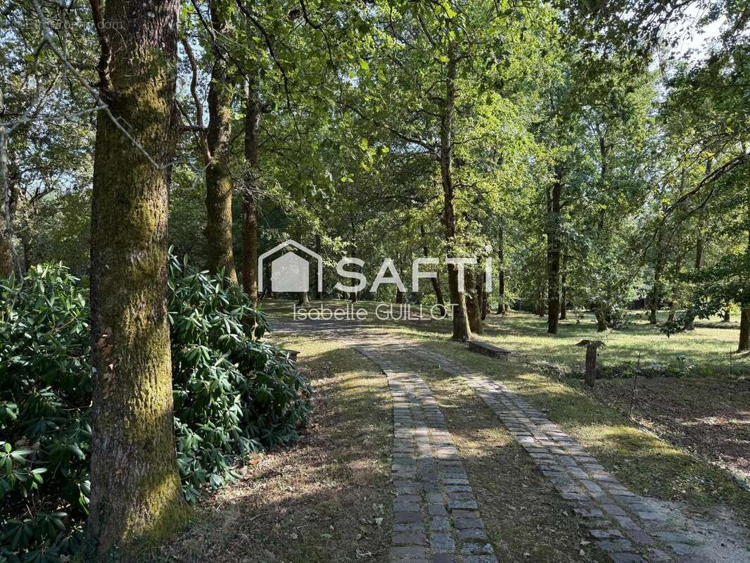 Photo 5 - Maison à BIGANOS