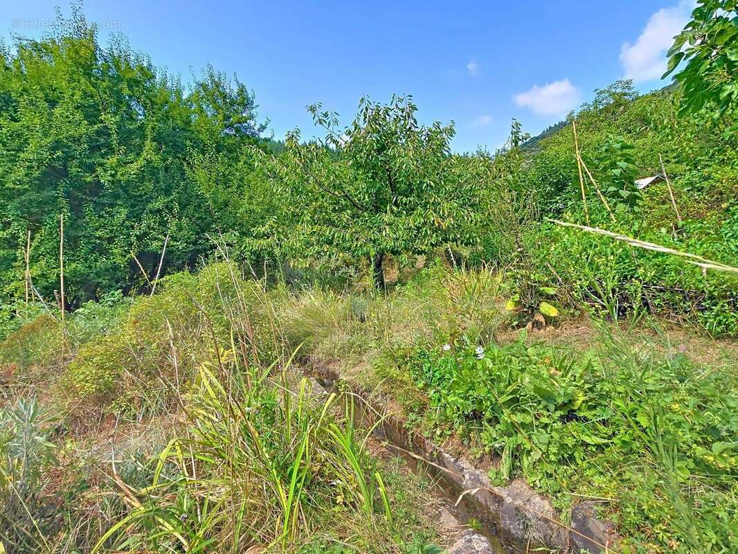 Photo 5 - Maison à AVENE