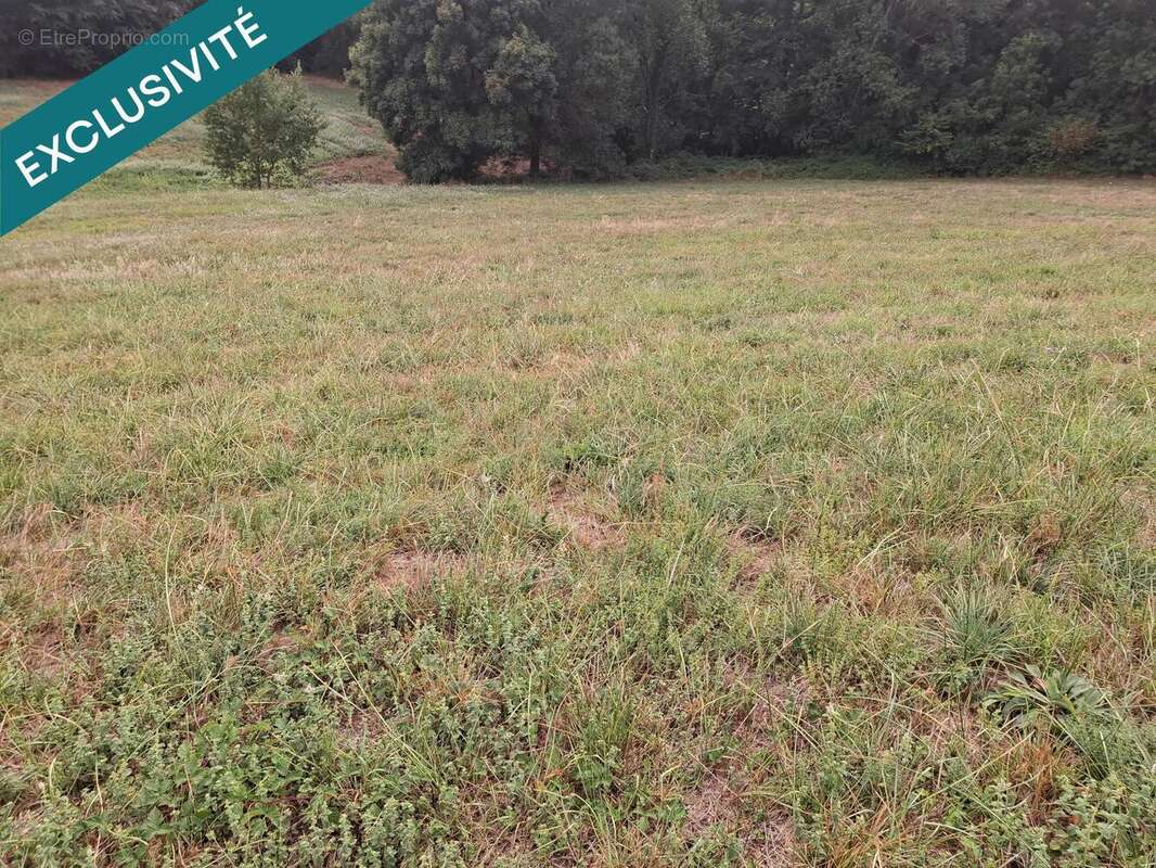 Photo 3 - Terrain à PAYRIN-AUGMONTEL