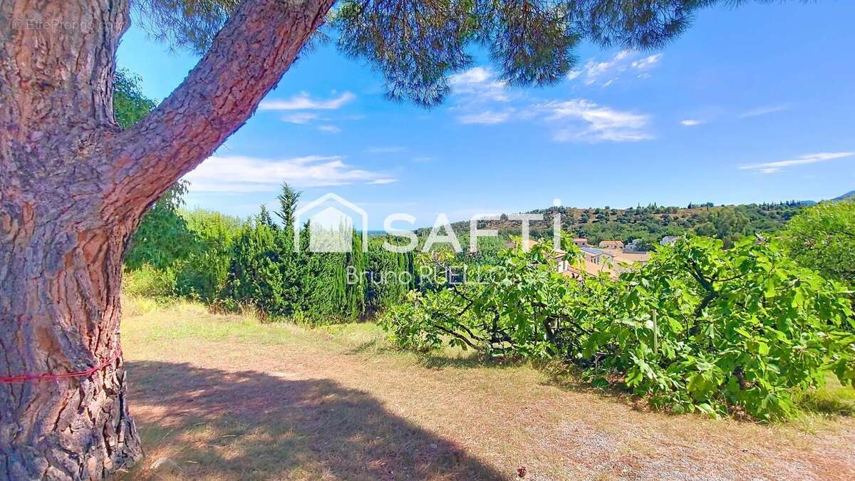 Photo 2 - Terrain à MONTESQUIEU-DES-ALBERES