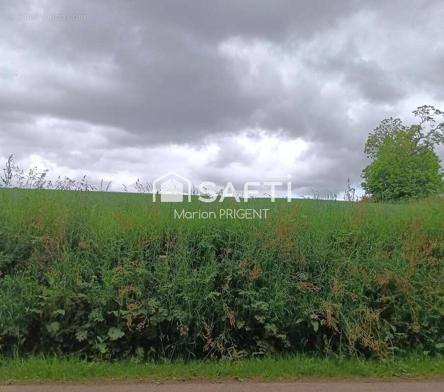 Photo 3 - Terrain à PLOUNEVEZ-LOCHRIST