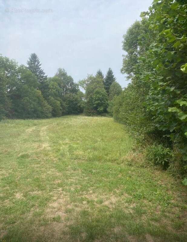 Photo 7 - Maison à ARFONS