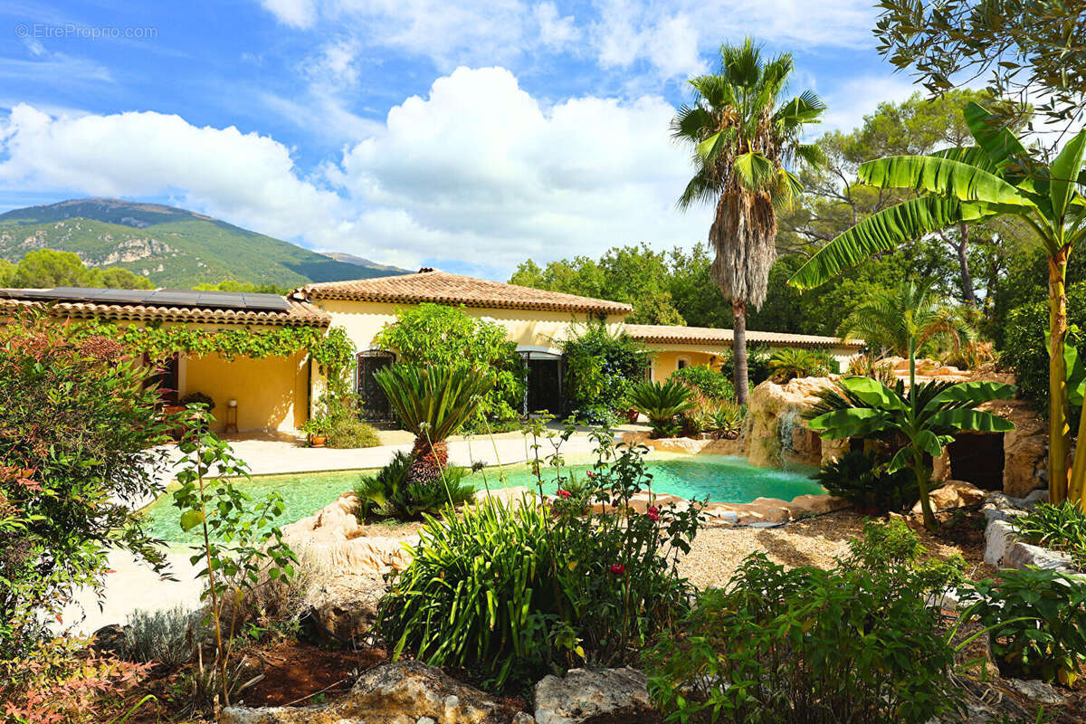 Maison à ROQUEFORT-LES-PINS