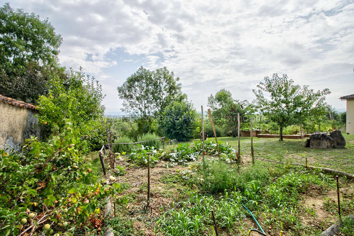 Terrain à CHARNOZ-SUR-AIN