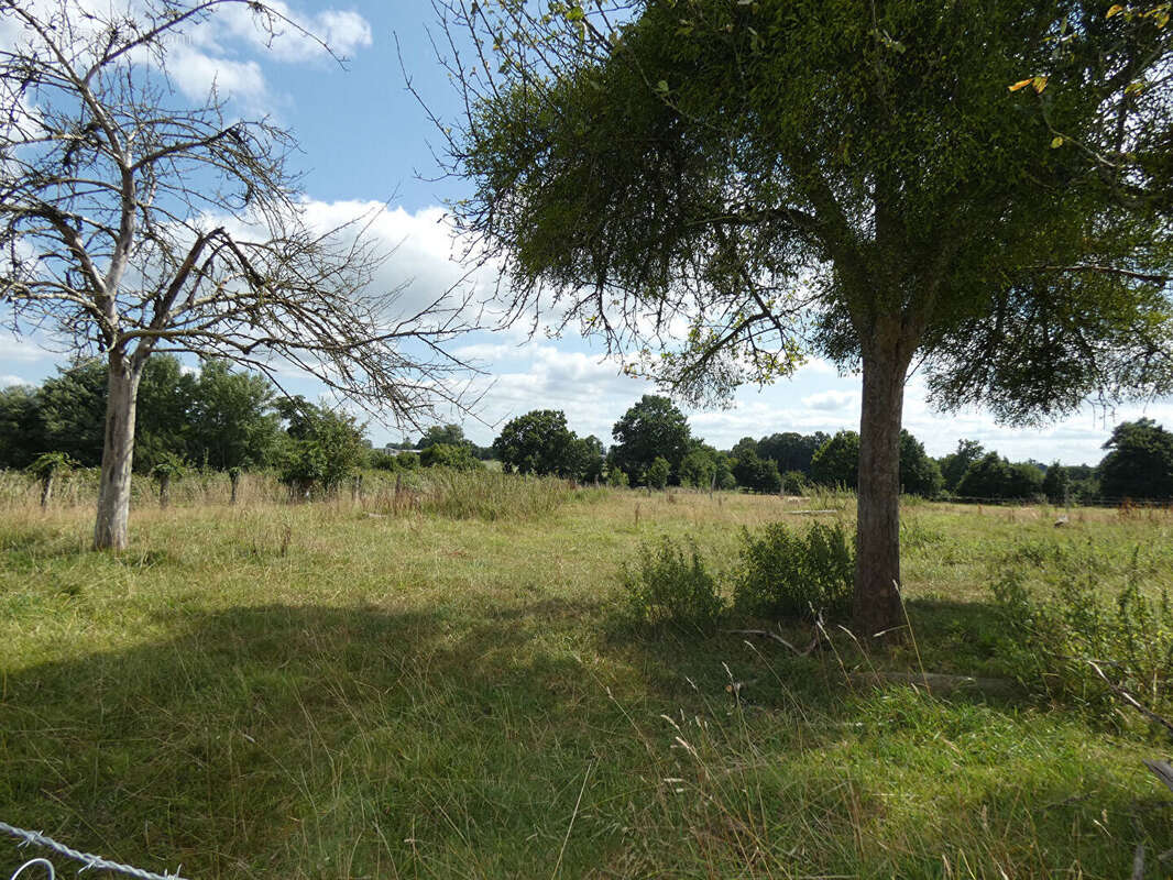 Maison à LE MESNILLARD
