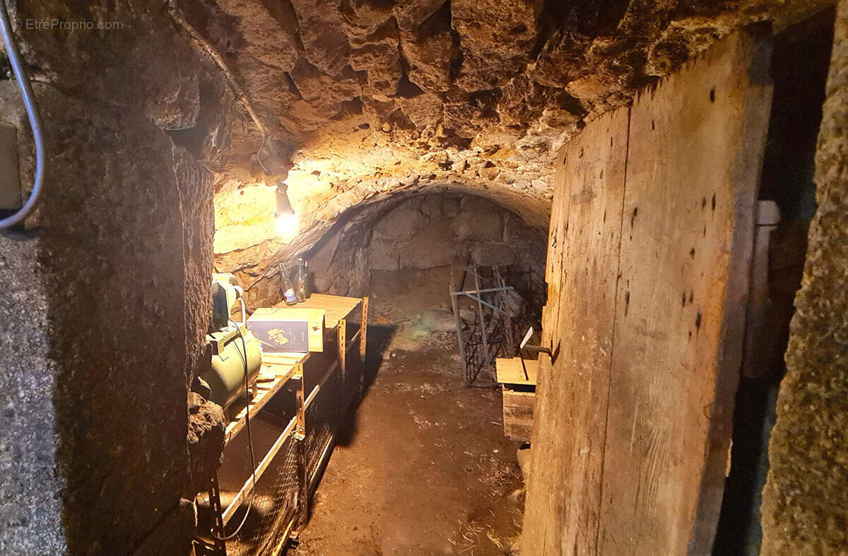 Maison à SAINT-PAL-DE-MONS