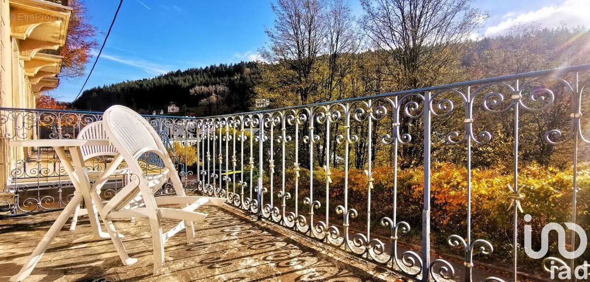 Photo 7 - Maison à PLOMBIERES-LES-BAINS