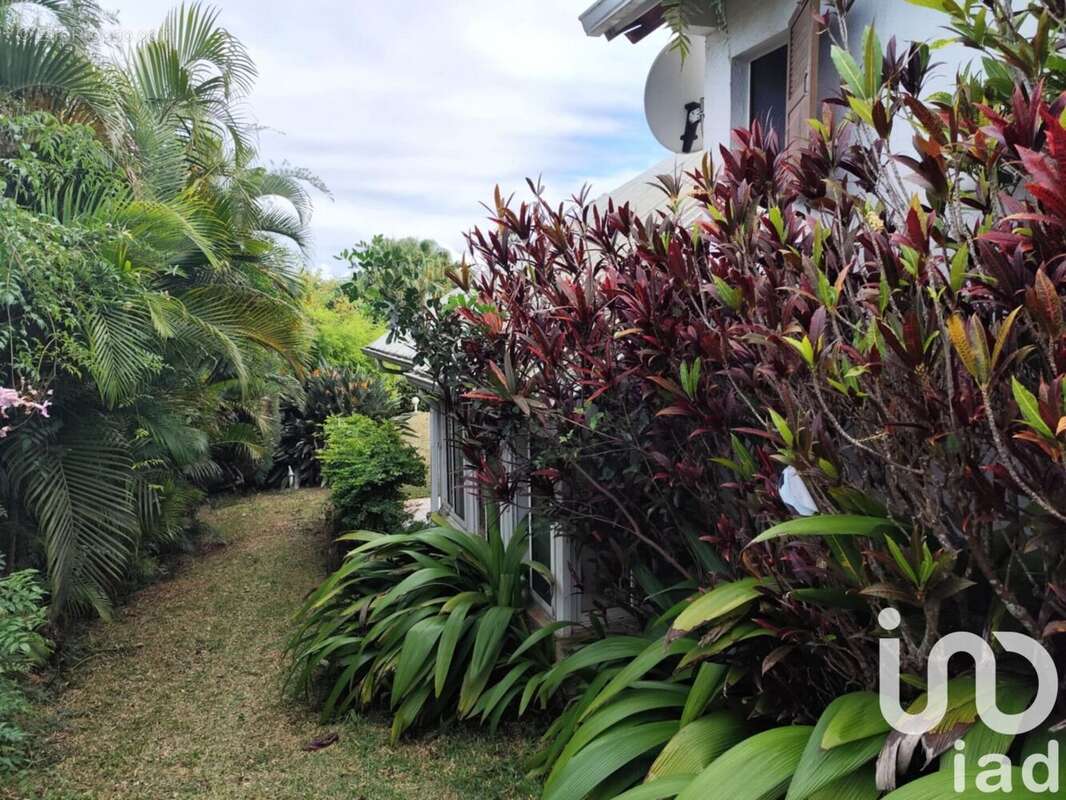 Photo 7 - Maison à SAINT-PAUL