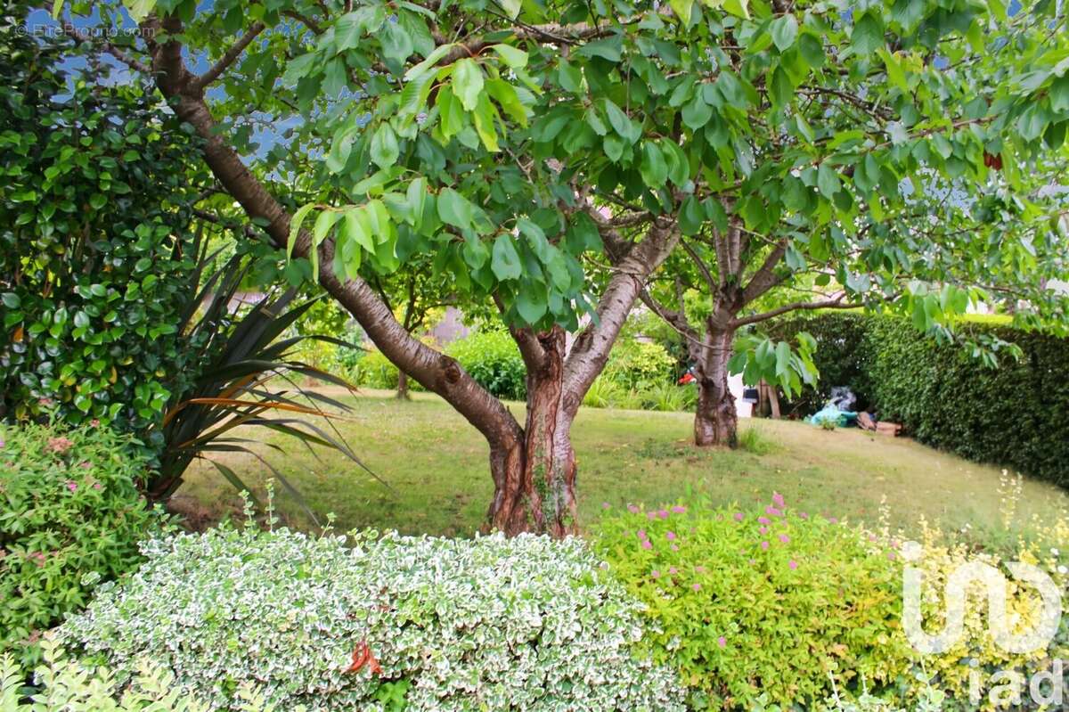 Photo 3 - Maison à LAMBALLE