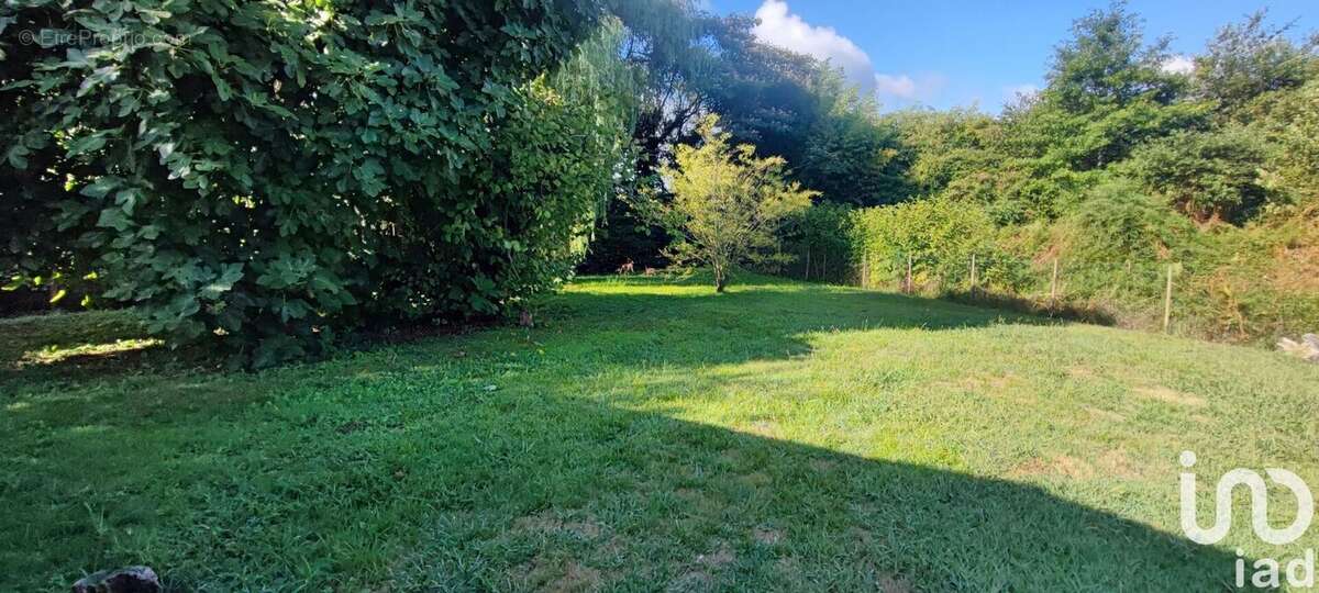 Photo 3 - Maison à SAUGNAC-ET-CAMBRAN