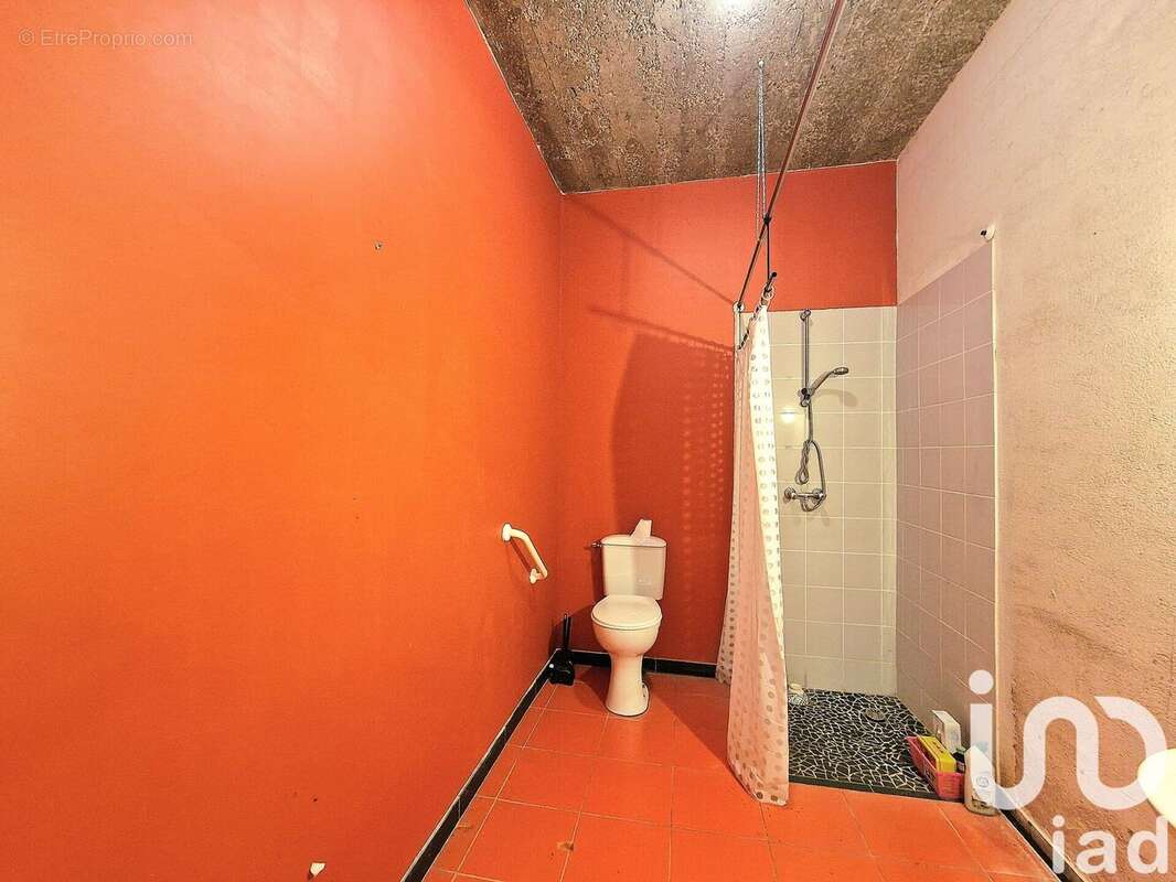 Photo 8 - Maison à TERRASSON-LAVILLEDIEU