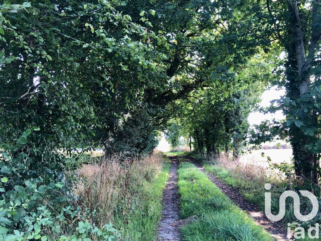 Photo 1 - Maison à MEHOUDIN