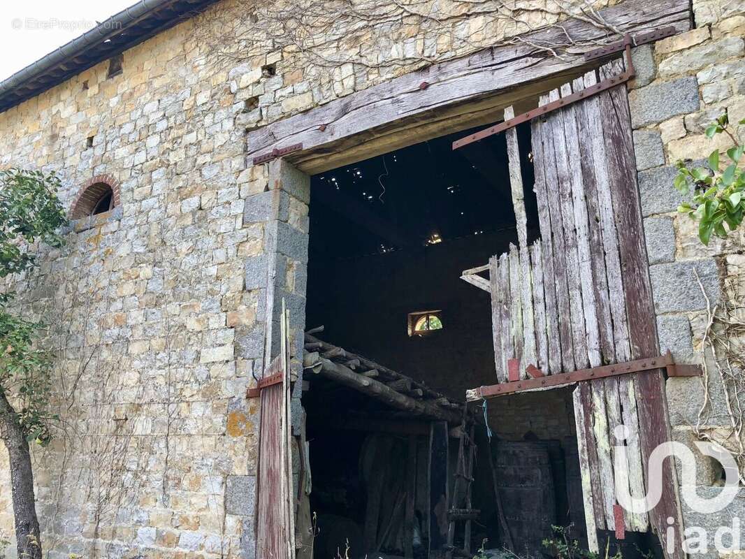 Photo 7 - Maison à MEHOUDIN