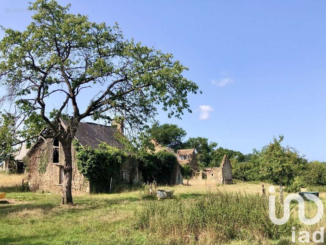 Photo 9 - Maison à MEHOUDIN