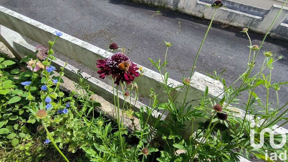 Photo 7 - Maison à MOURENX