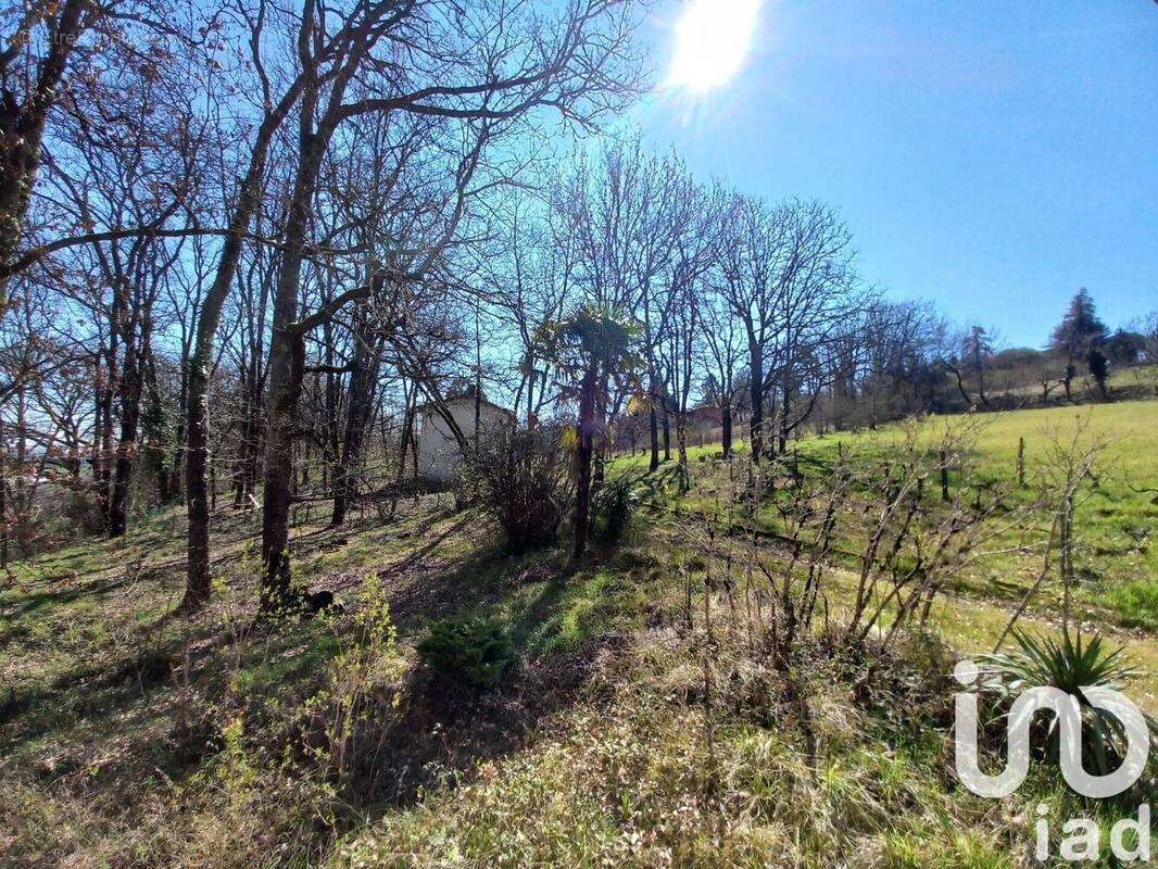 Photo 1 - Maison à SAINTE-COLOMBE-EN-BRUILHOIS