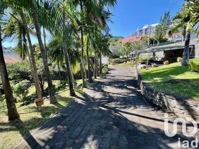 Photo 2 - Maison à SAINT-DENIS