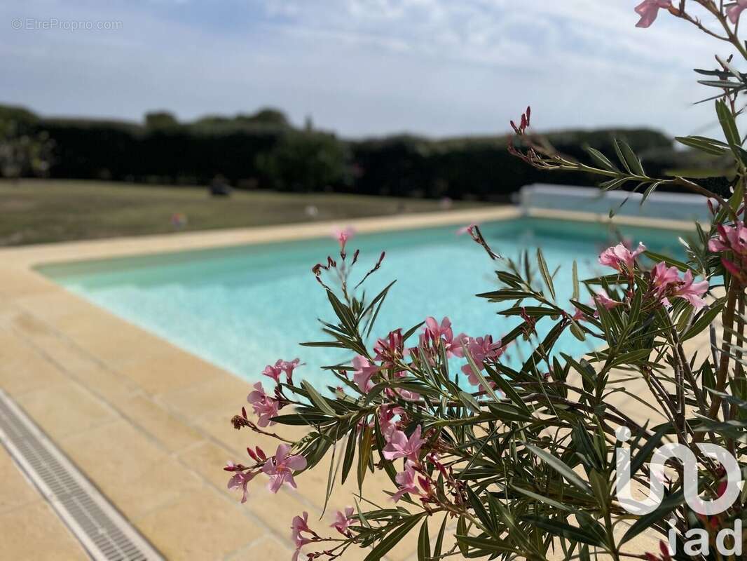 Photo 3 - Maison à SEMUSSAC