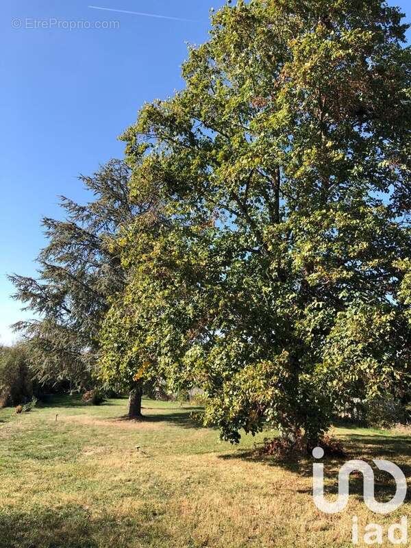 Photo 8 - Maison à PRISSAC