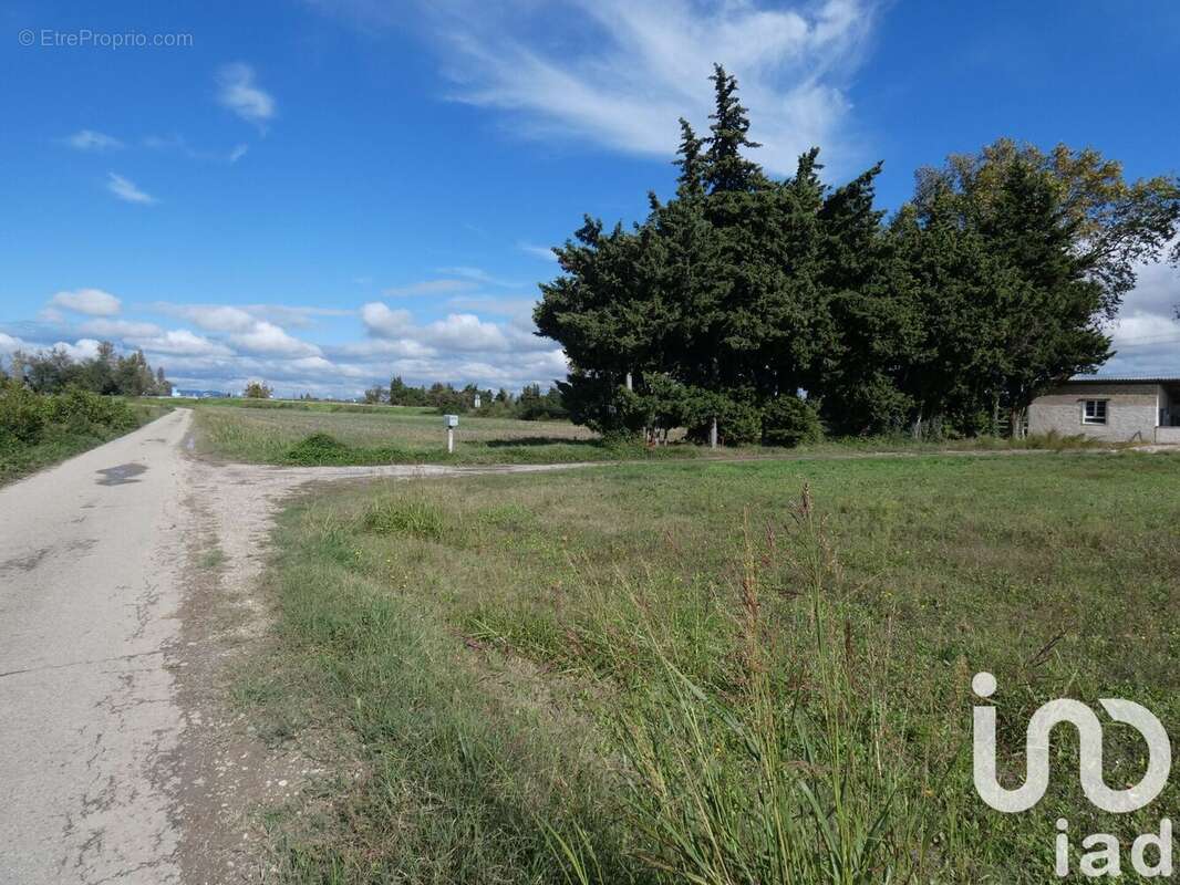 Photo 3 - Maison à BOLLENE