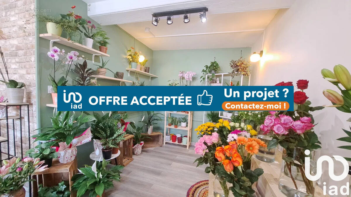 Photo 1 - Appartement à SAINT-DIDIER-SUR-CHALARONNE