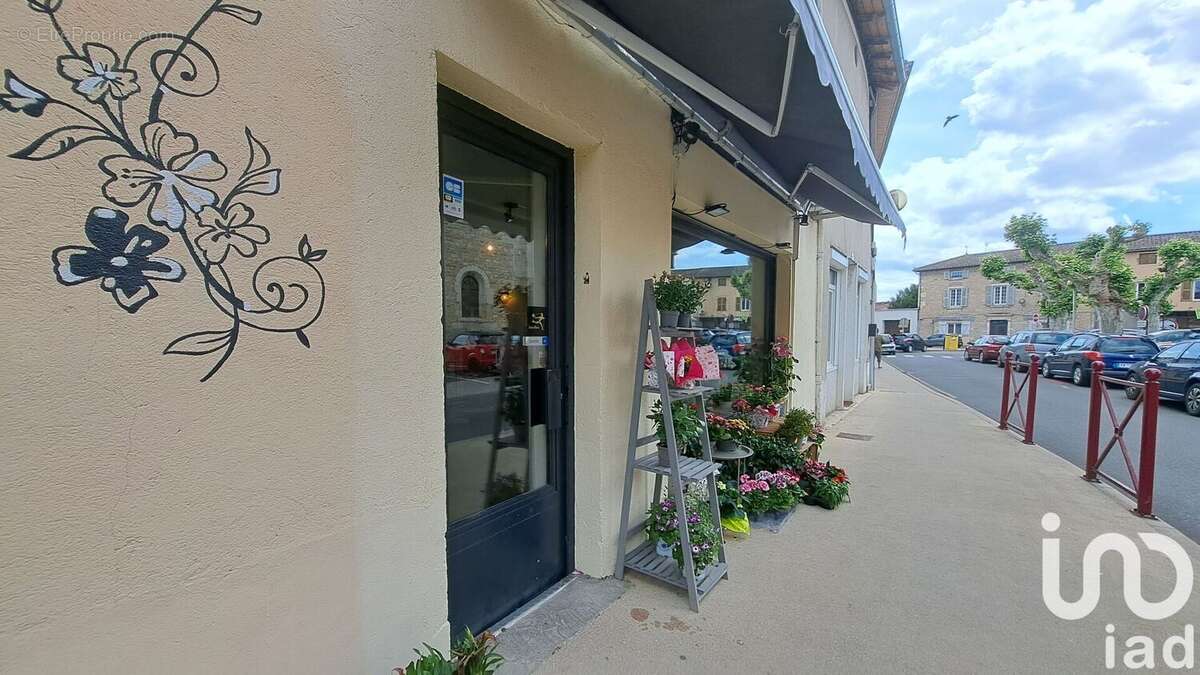 Photo 4 - Appartement à SAINT-DIDIER-SUR-CHALARONNE