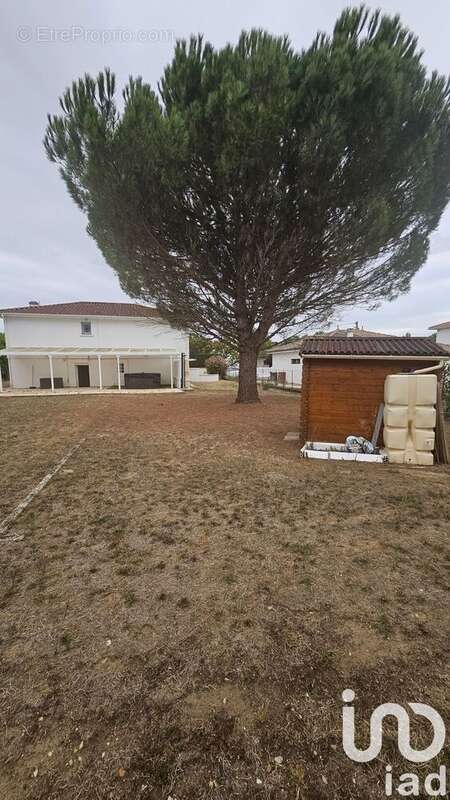 Photo 5 - Maison à SAUJON