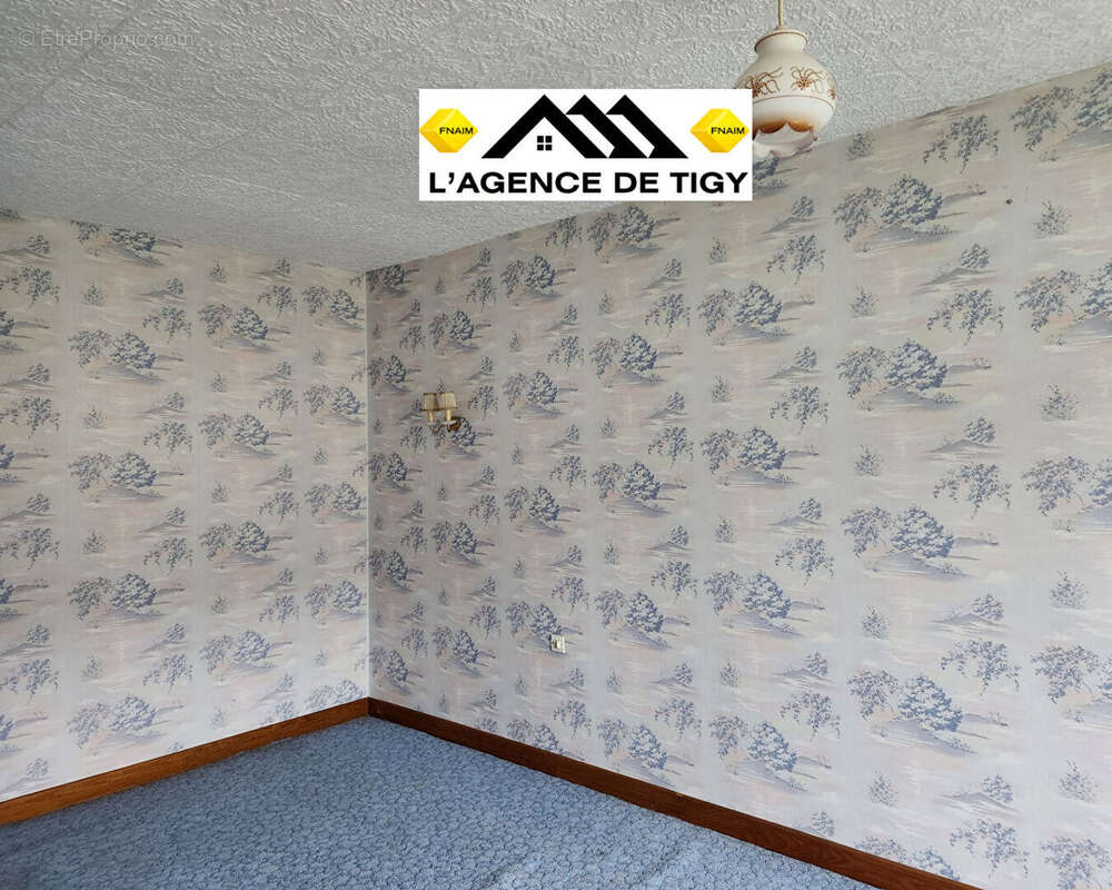 Maison à SAINT-AIGNAN-LE-JAILLARD