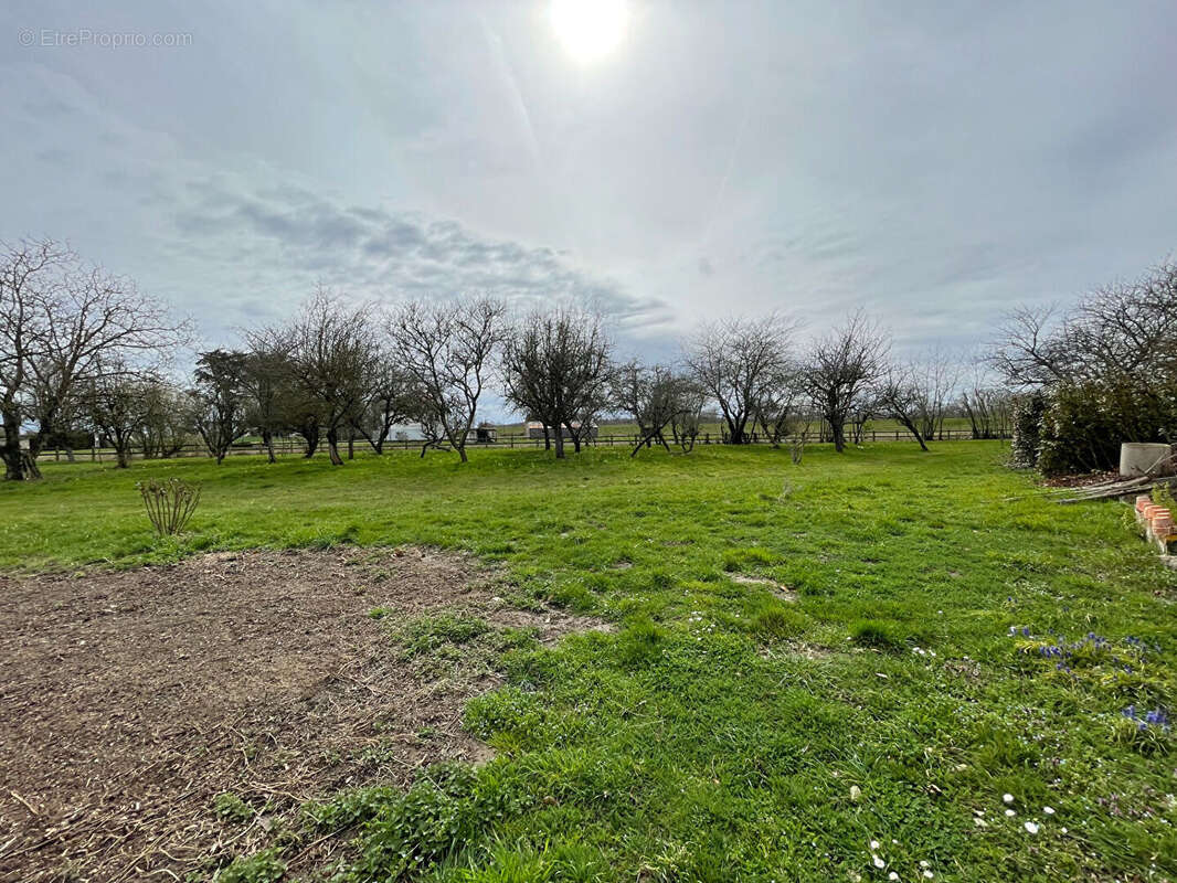 Maison à SAINT-BENOIT-SUR-LOIRE