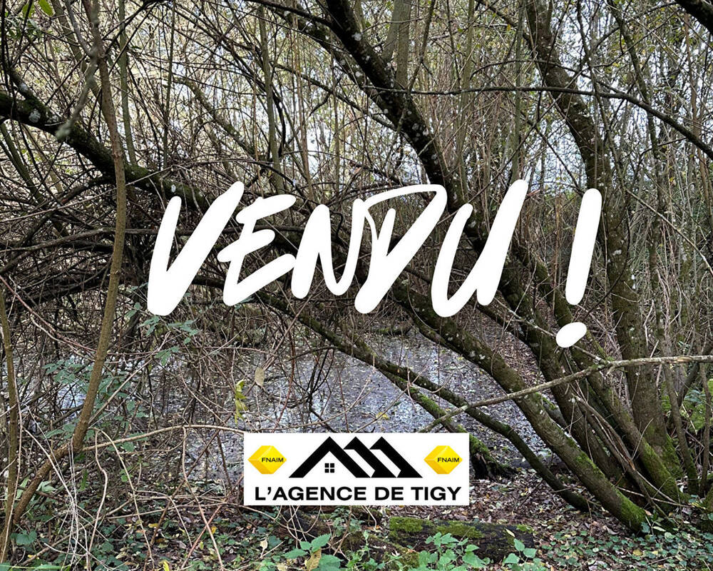 Terrain à NEUVY-EN-SULLIAS