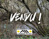 Terrain à NEUVY-EN-SULLIAS