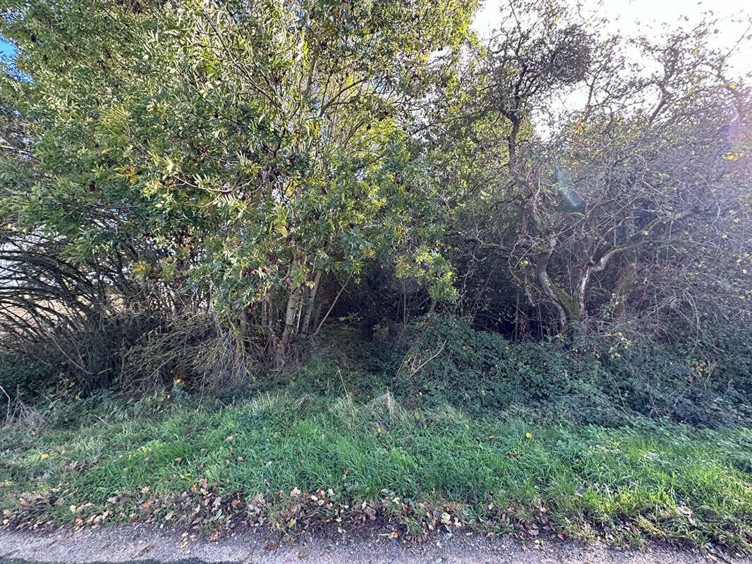 Terrain à NEUVY-EN-SULLIAS